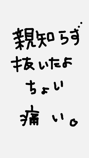 ラスイチ(猫)