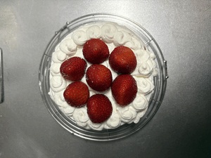 ケーキつくったよ(猫)