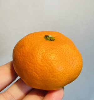 あちち