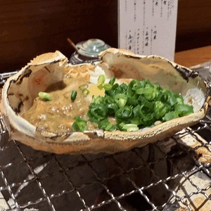 今年は