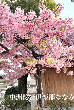 お陰様で