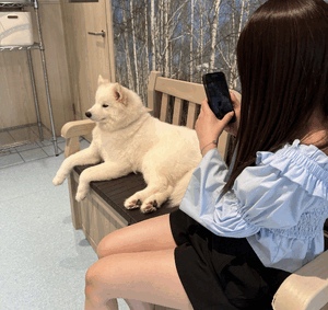 にこにこ