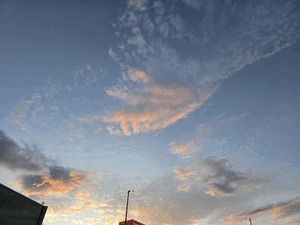 笑い転げて