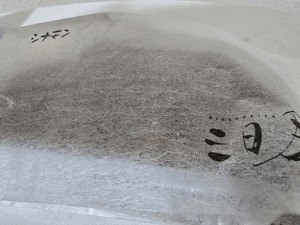 昨日今日明日