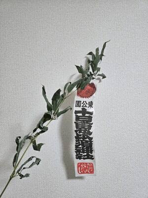 雪