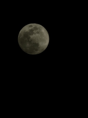 🌝