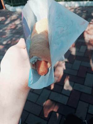 おしりしりしり