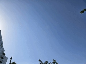 にゃん