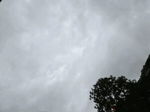 ふえん