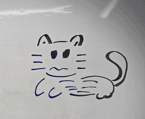 ヌコ