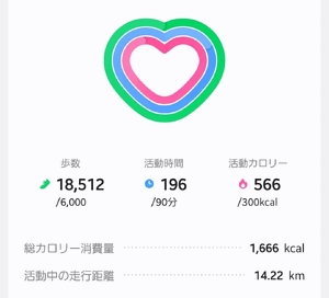 あるこうあるこう