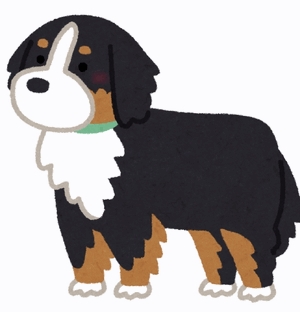 ワン