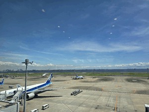 かむばっく