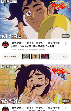 セクシーコマンドー部