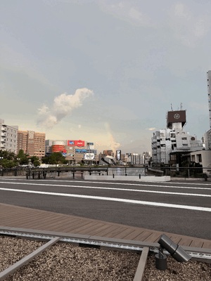 虹見れた