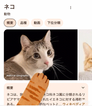 にゃんこに肉球押してもらいました🥹🎀