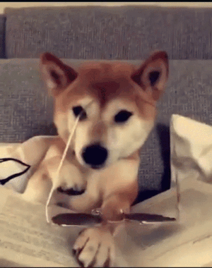 いいとこ……ここかい？ここなのかい？