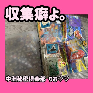 収集癖よ。