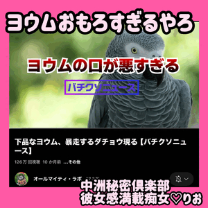 鳥好きフィーバー