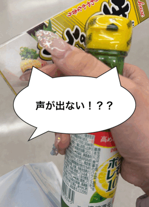 オワリデス（声）