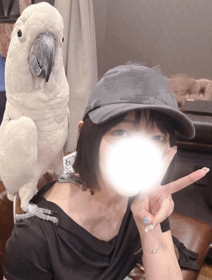 鳥類は神である