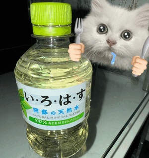 💃プレゼント🎀