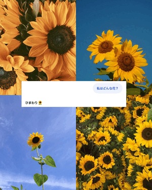 🌼流行りの🌼