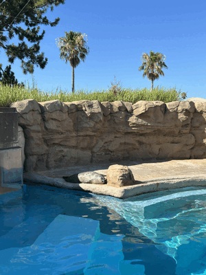 7月ありがとう🍉