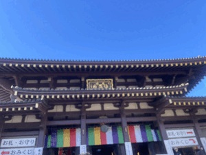 ご無沙汰です