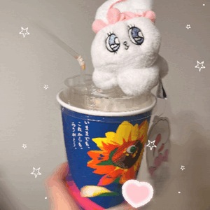 おきにいり