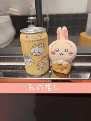 お気に入り♡