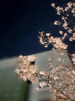 お裾分け
