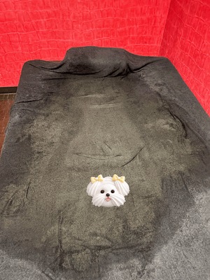 滝行