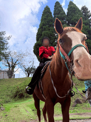 念願の🐎♡