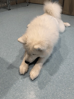 あと1枠