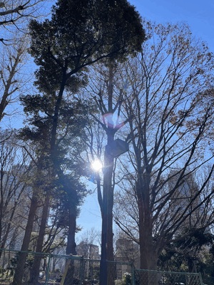 🌞