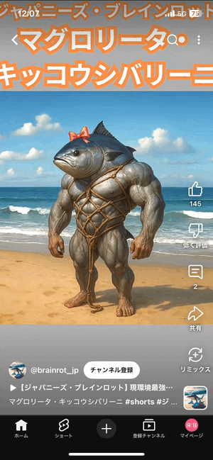 【キッコウシバリーニ】