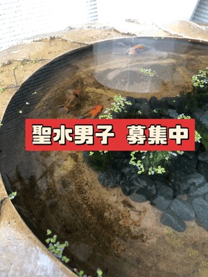 あつまれ❤︎聖水ボーイ