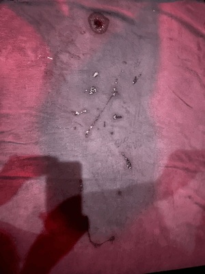 5/7.8のチン棒捕獲日記💋