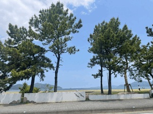 明日から♡