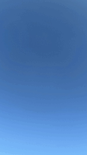 天気よすぎて....