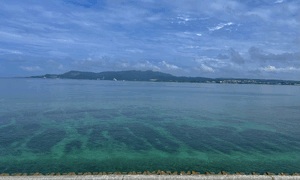 夏