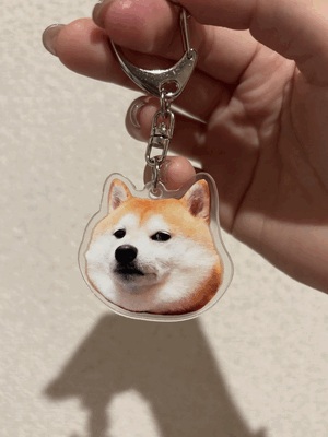 🐶